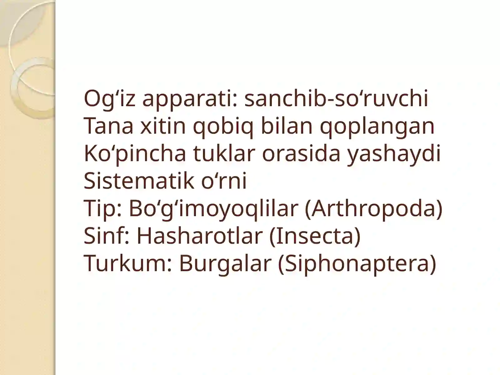BURGALAR TURKUMI 3