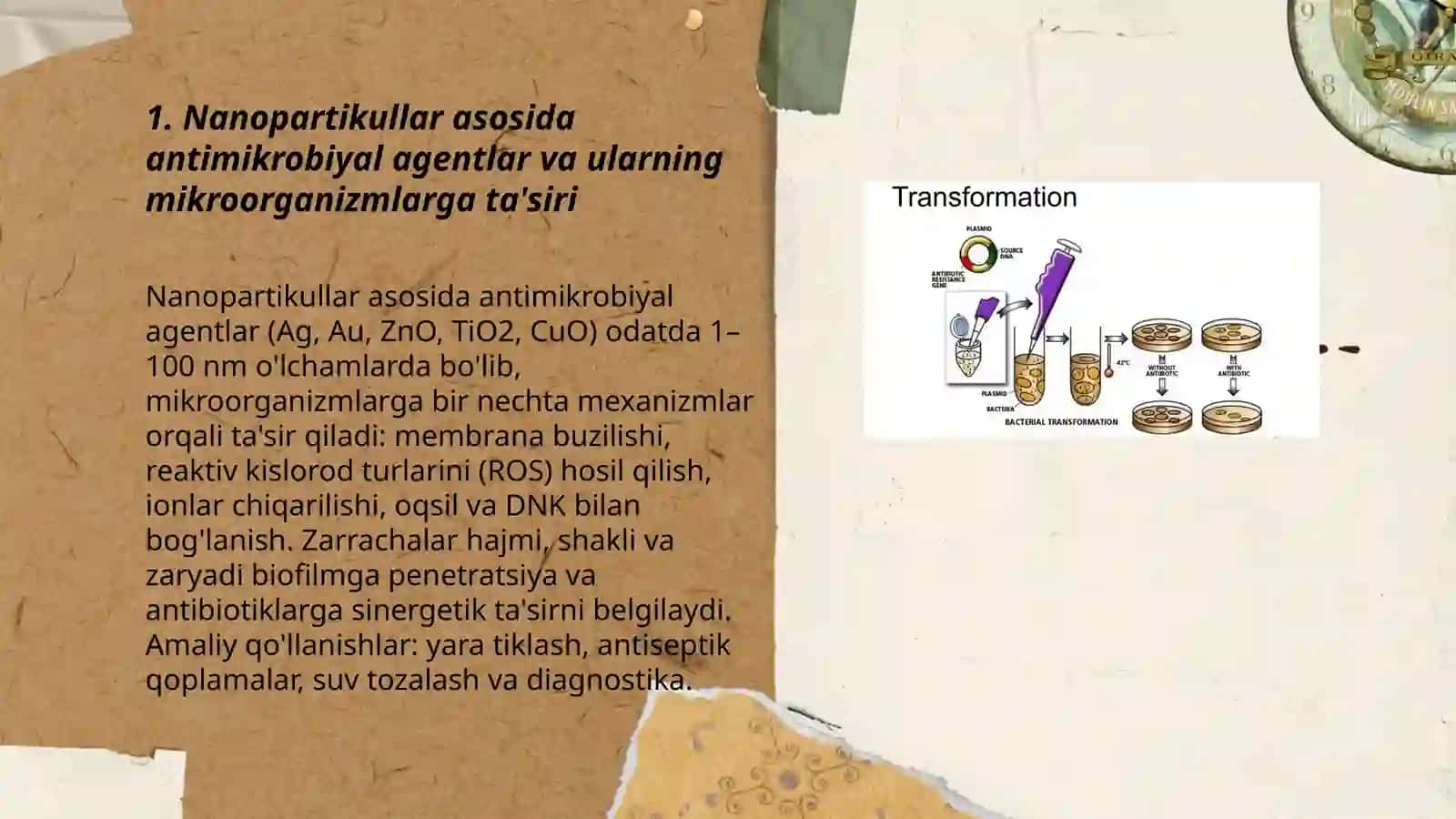 Mikrobiologiya modulida nanotexnologiyaning qoʻllanishi 3