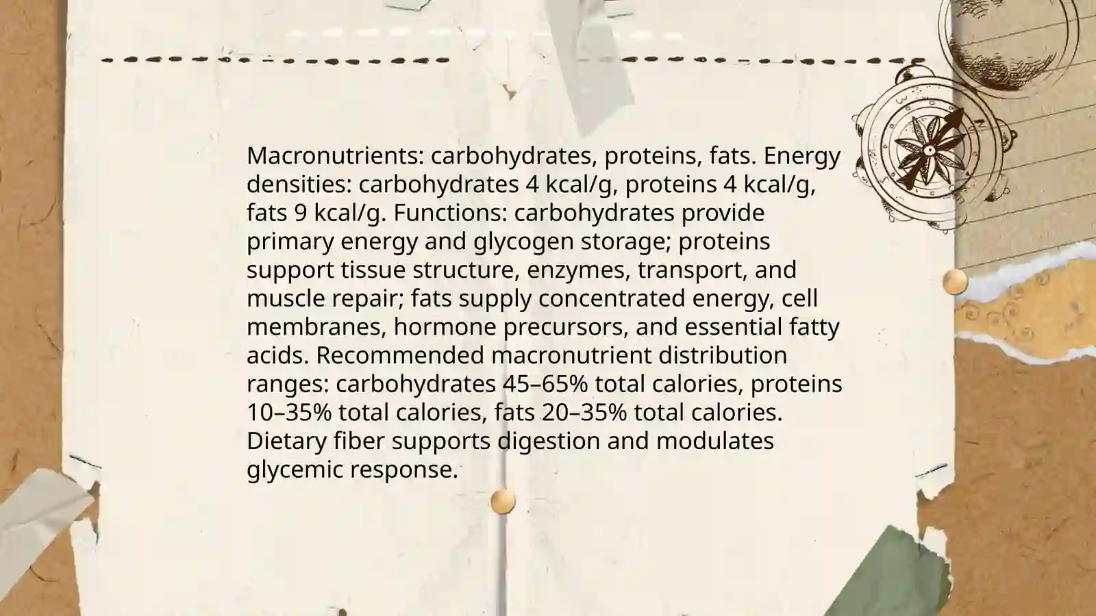 Plan: Nutrition and Macronutrients 3