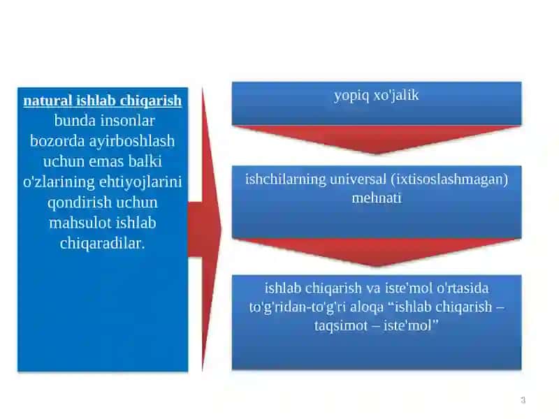 Naturalishlabchiqarish 3