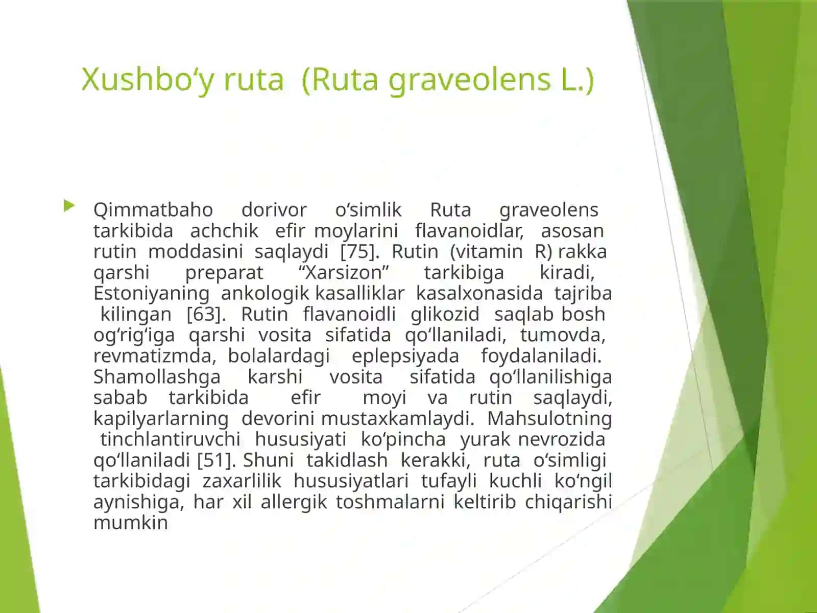 Xushbo‘y ruta (ruta graveolens l.) O‘simligi urug‘chiligi va ko‘chatchiligi 3
