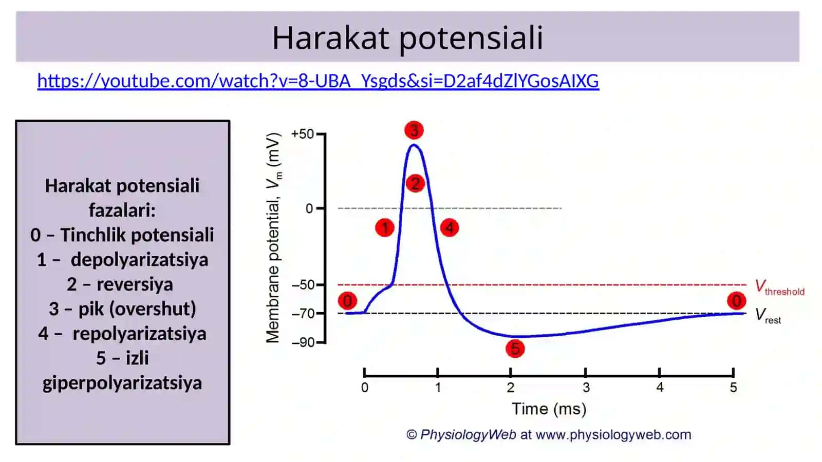 Nervtolasi 3