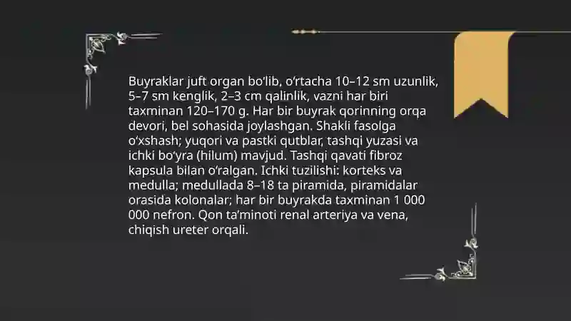 Buyrak 3