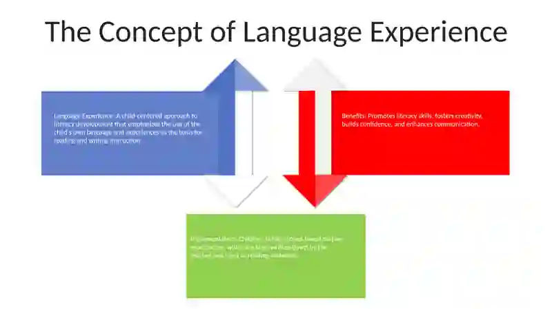 Language Experience 3