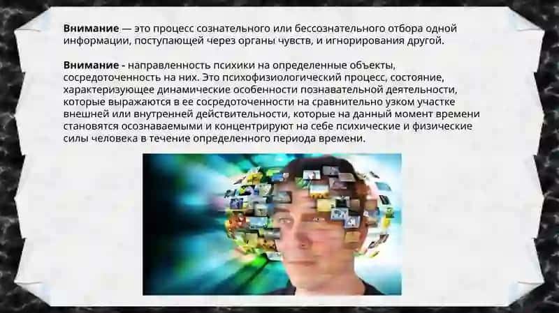 Общая характеристика внимания. Виды и свойства внимания 3