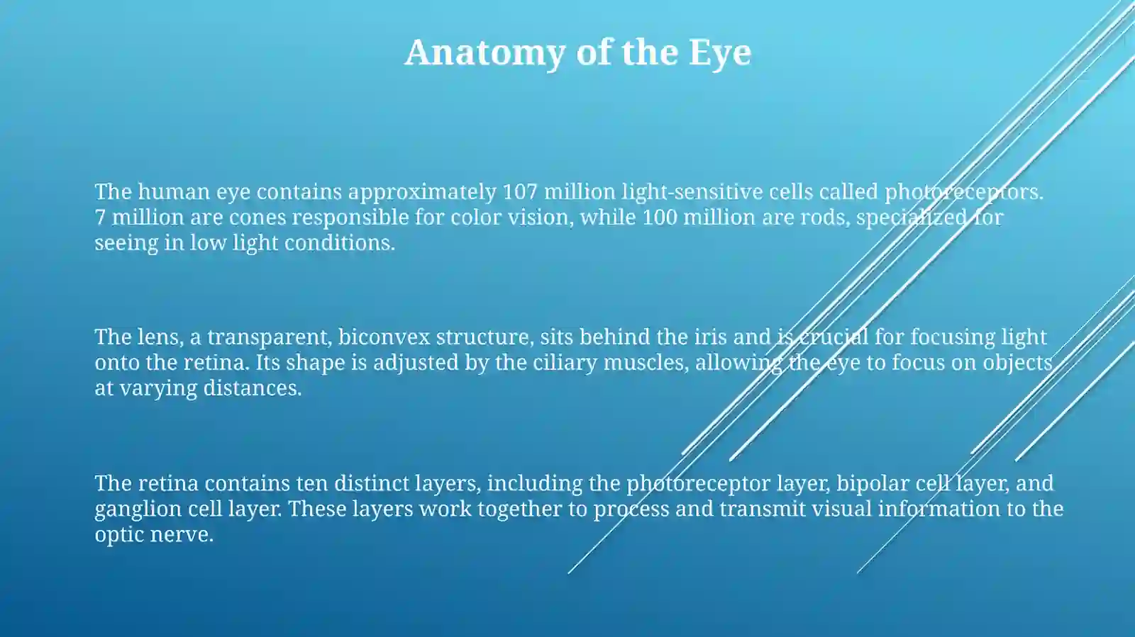 The eye 3
