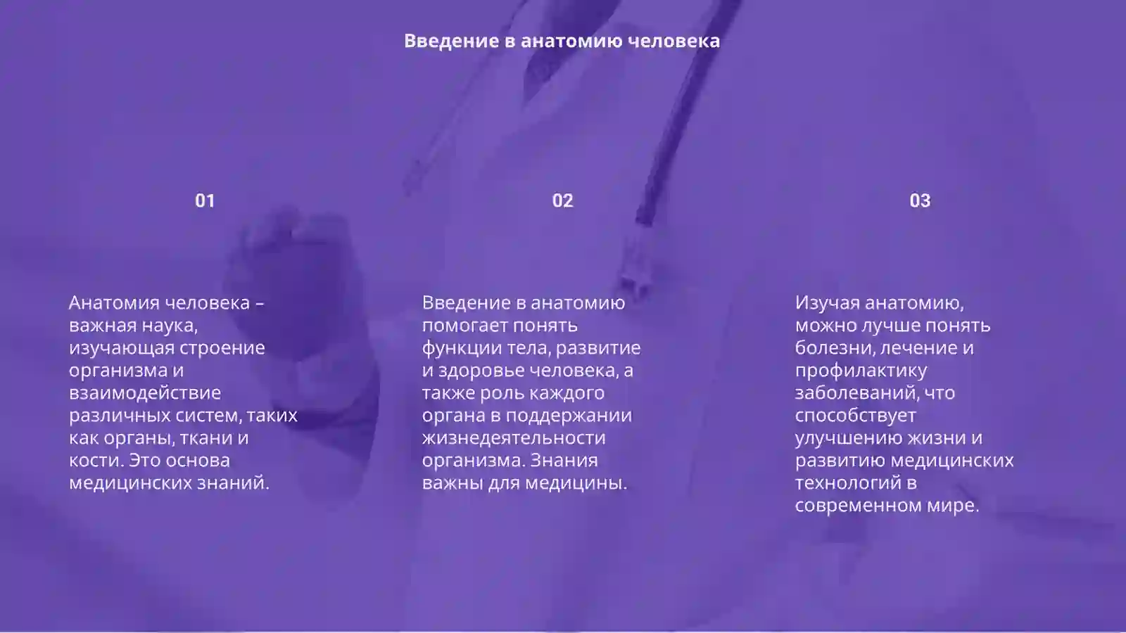 Анатомия человека 3