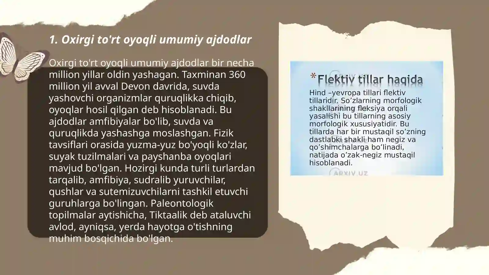 Tillarning genealogik tasnifi 3