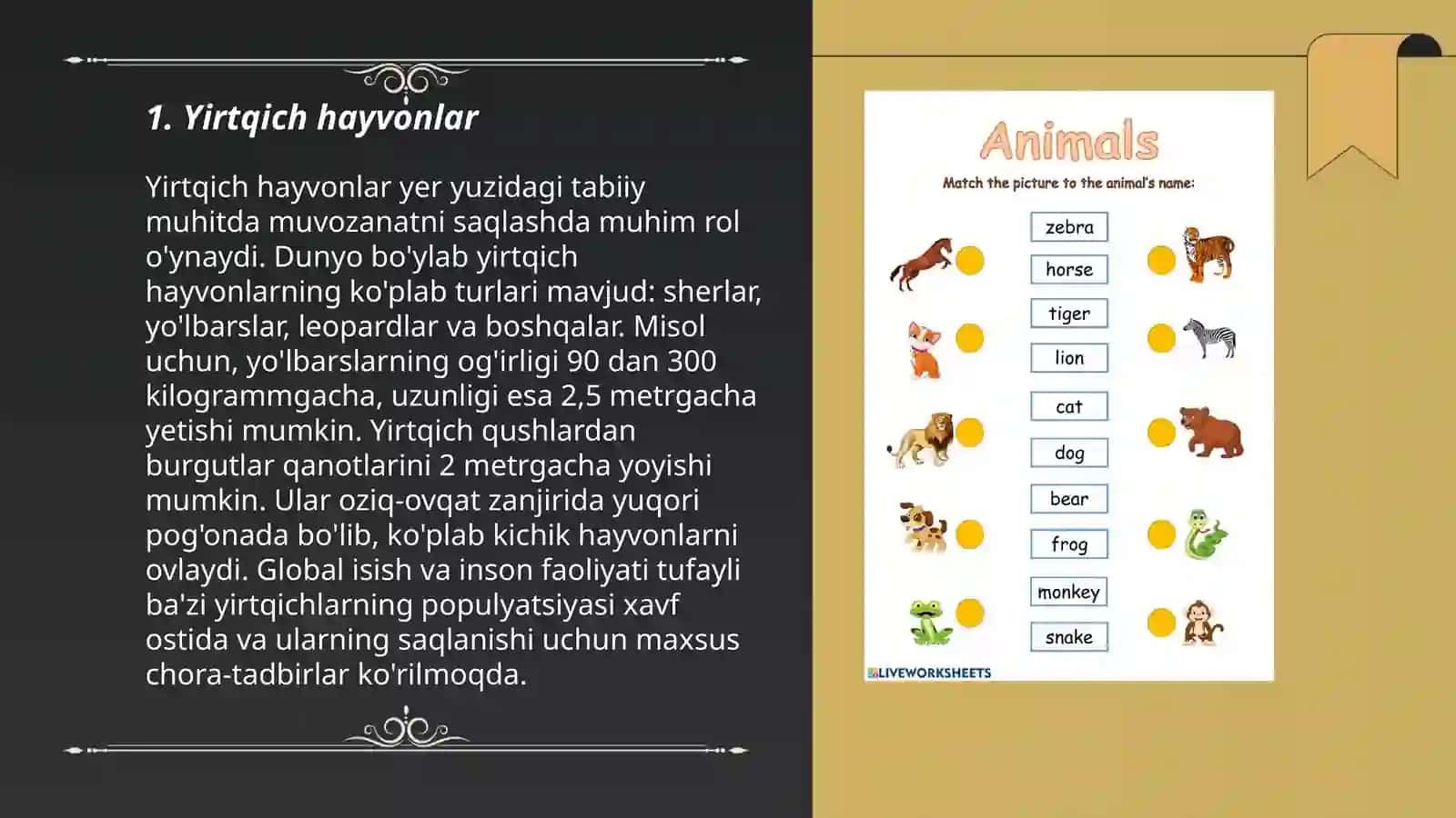 SODDA HAYVONLAR TIPI HIVCHINLILAR SINFI 3
