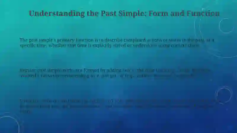 Past simple tense 3