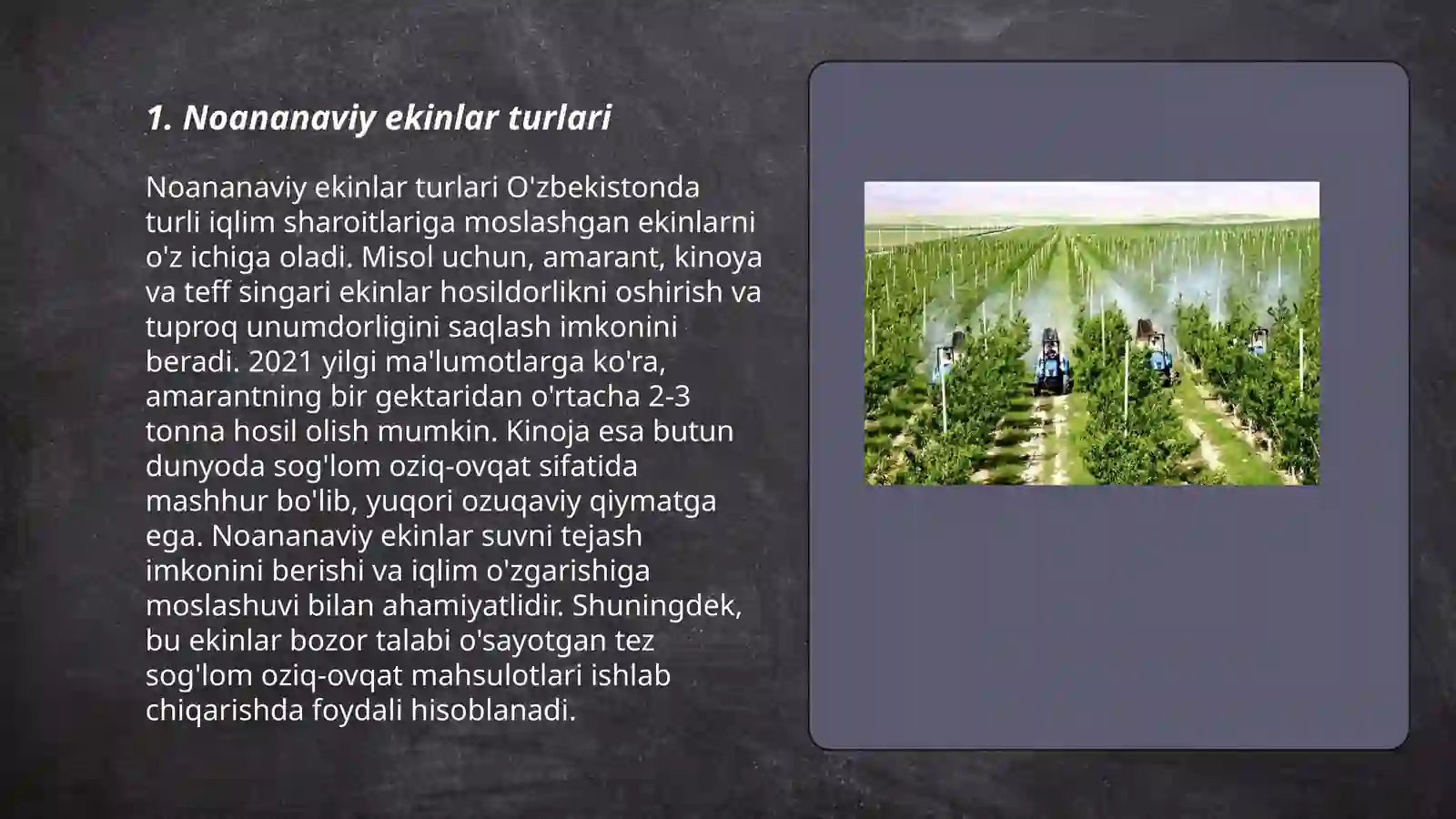 Noananaviy ekinlar va ularning yetishtirish texnologiyasi 3