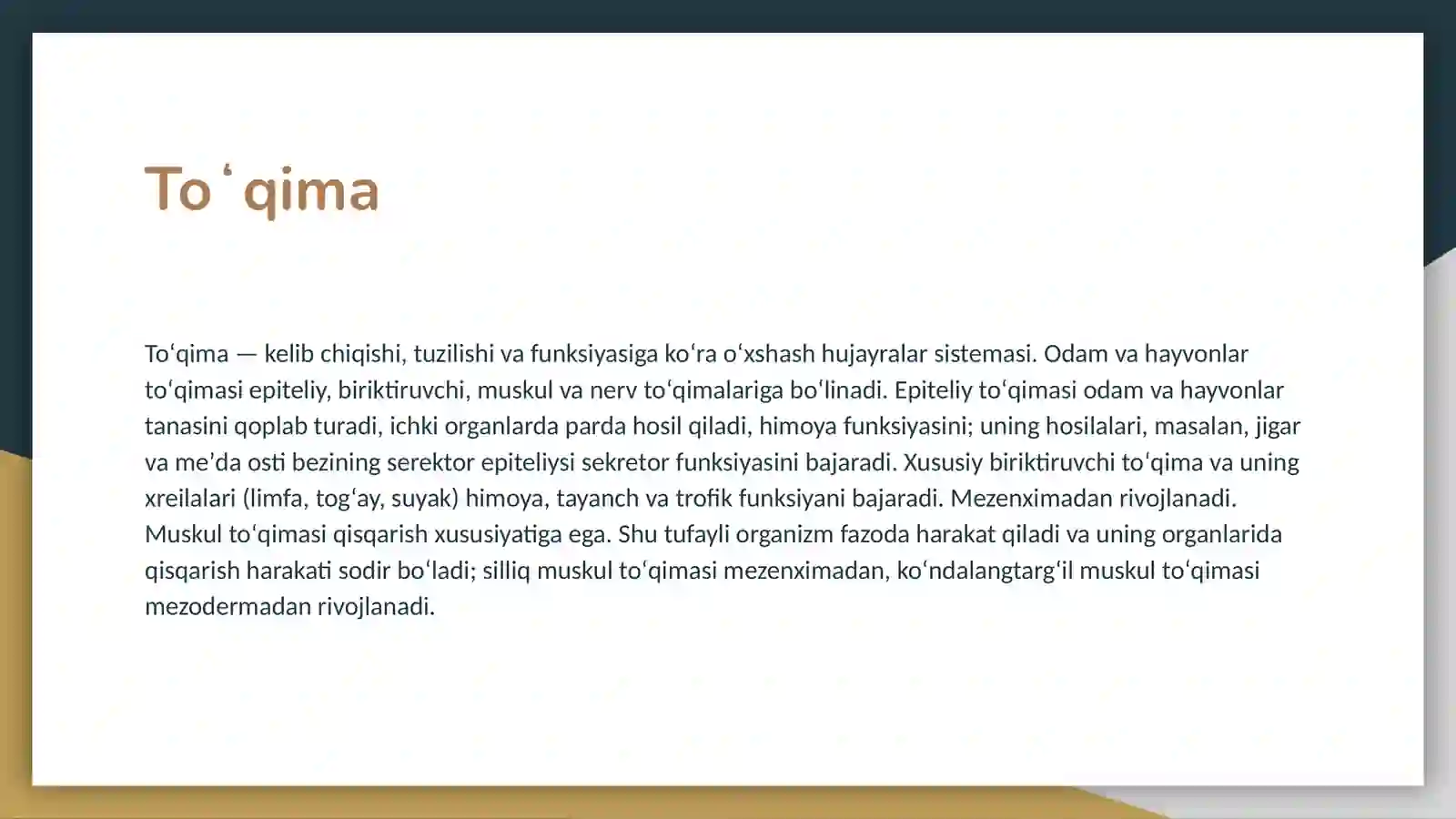 Toʻqima 3