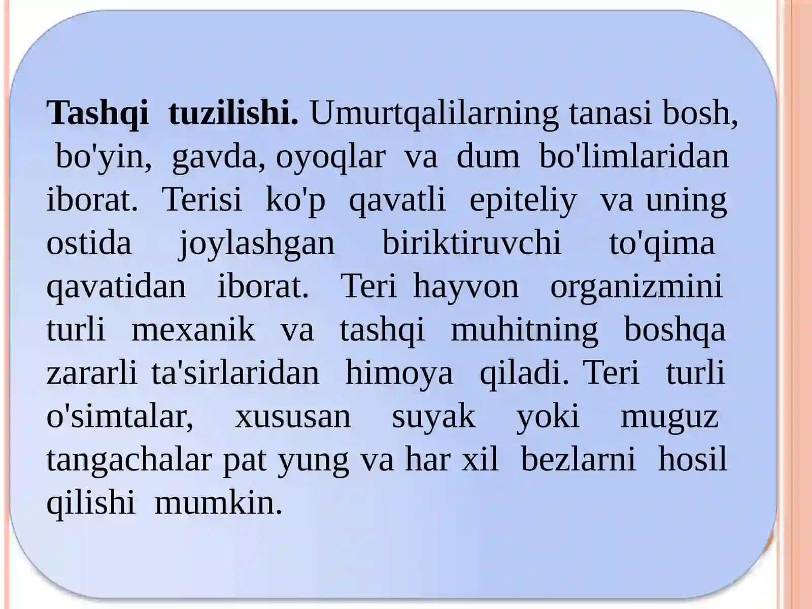 Umurtqalilarning kenja tipi 3