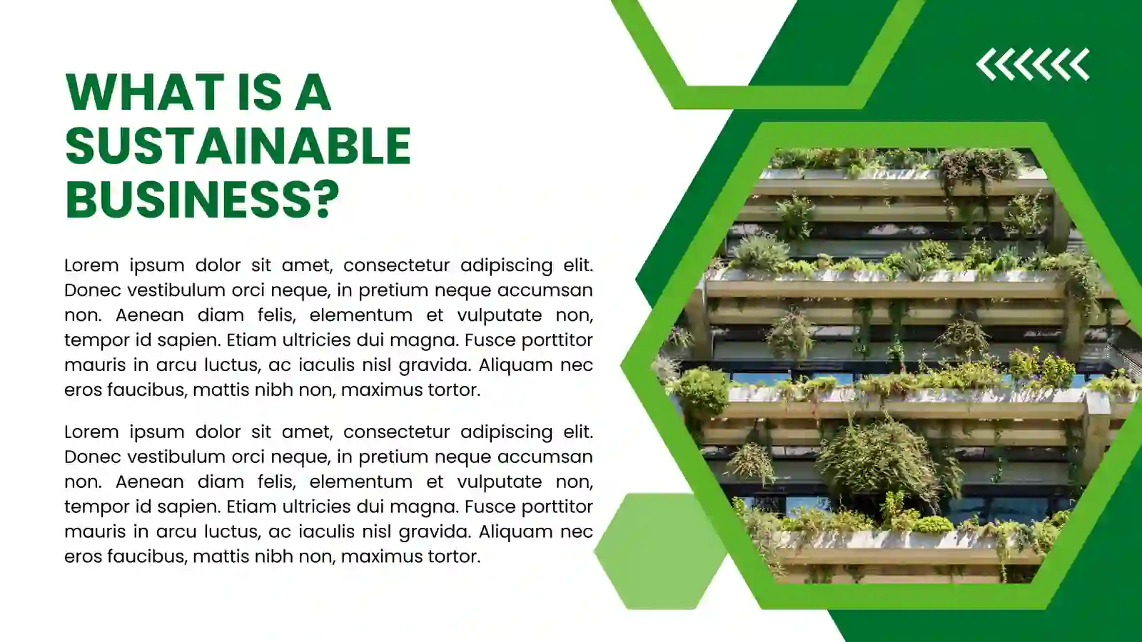 SLAYD SHABLON 2026 3