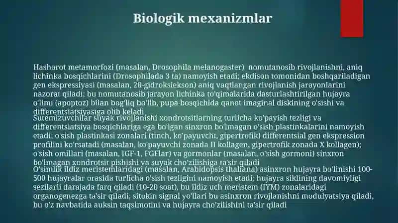 Hasharot metamorfozi (masalan, Drosophila melanogaster) 3