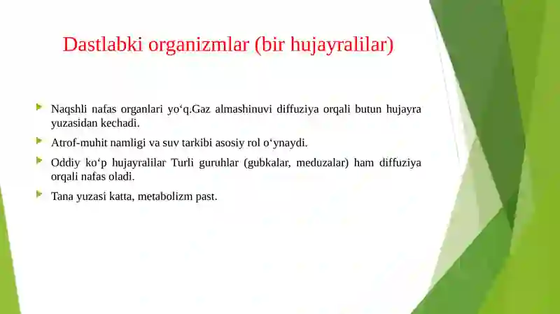 Nafas tizimi filogenezi 3