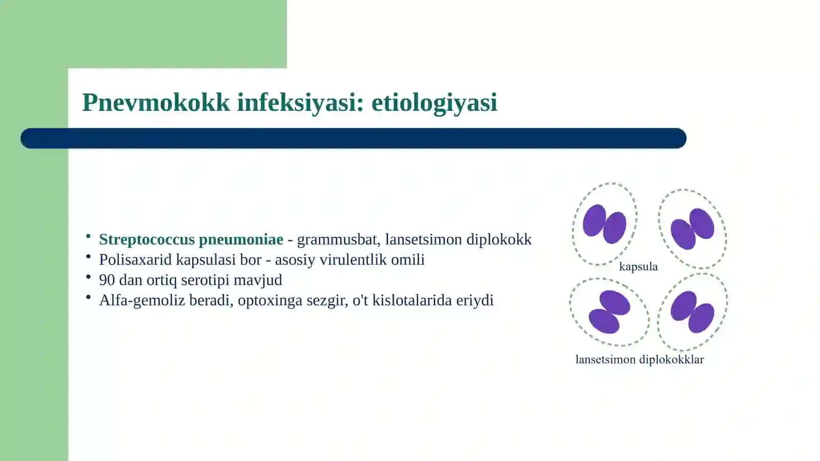 Pnevmokokk va streptokokkli infeksiyalar 3