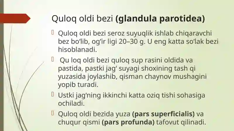 So’lak bezlari 3