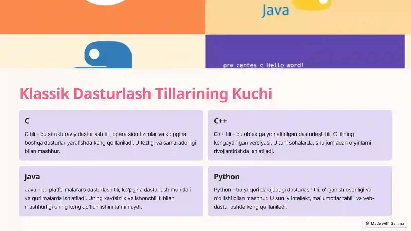 Dasturlash Tillarining Tasnifi 3