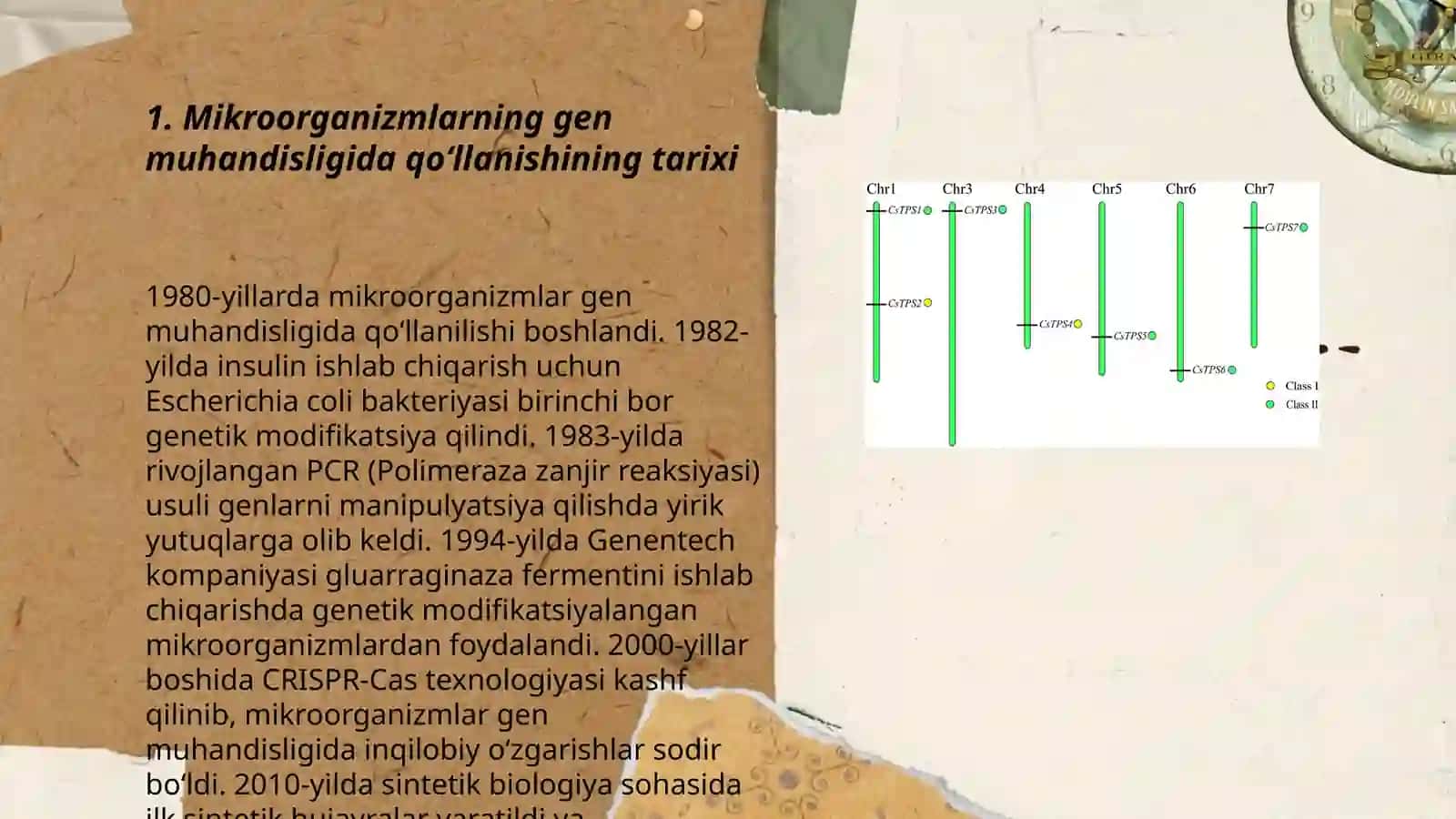 Mikroorganizmlarning gen muhandisligida qoʻllanishi 3