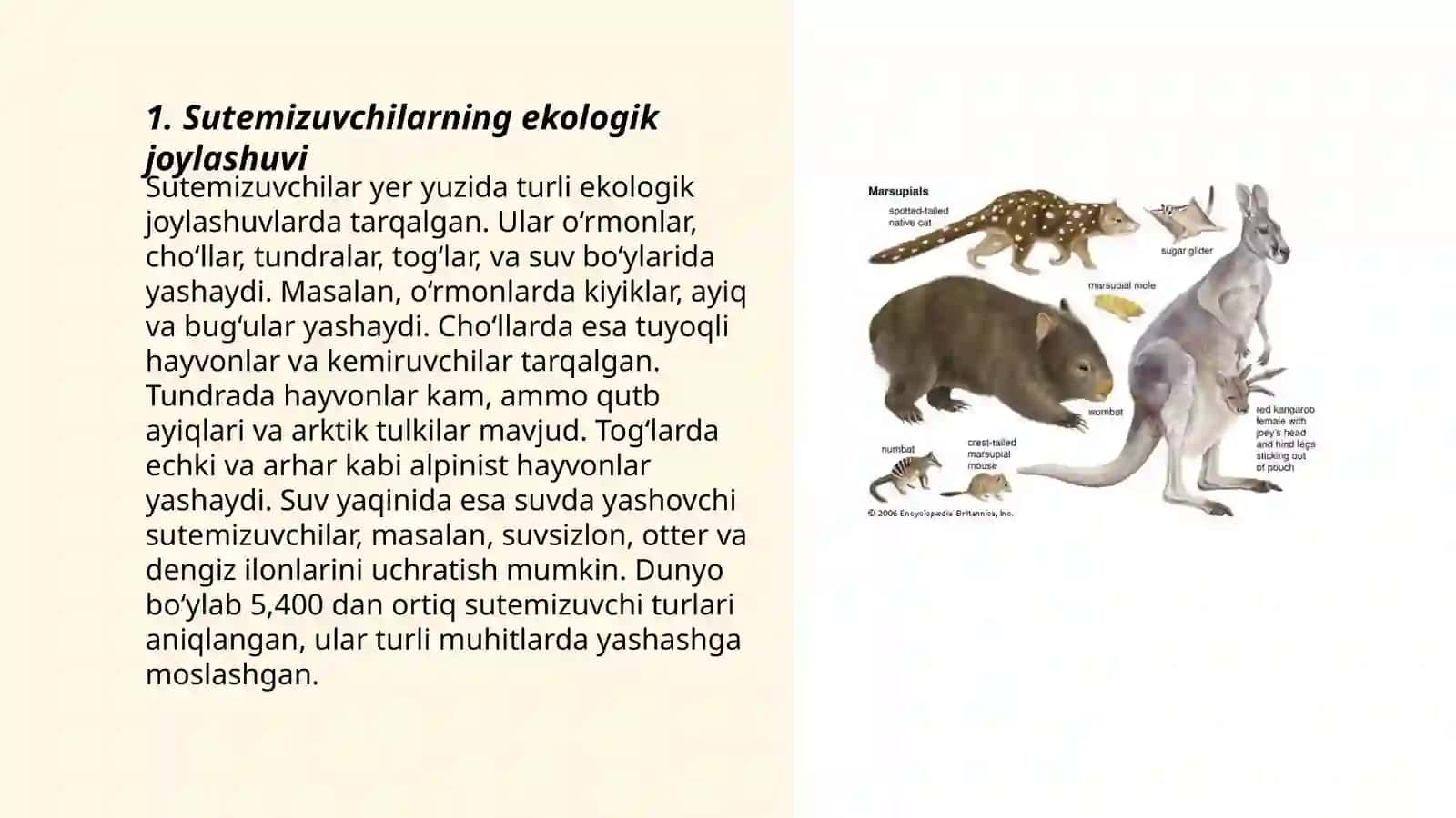 Sut emizuvchilarning ekologiyasi, kelib chiqishi va evolyutsiyasi 3