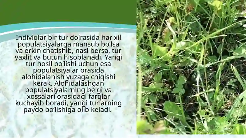 Turlarning paydo bo‘lishi 3