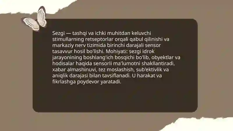 Sezgi 3