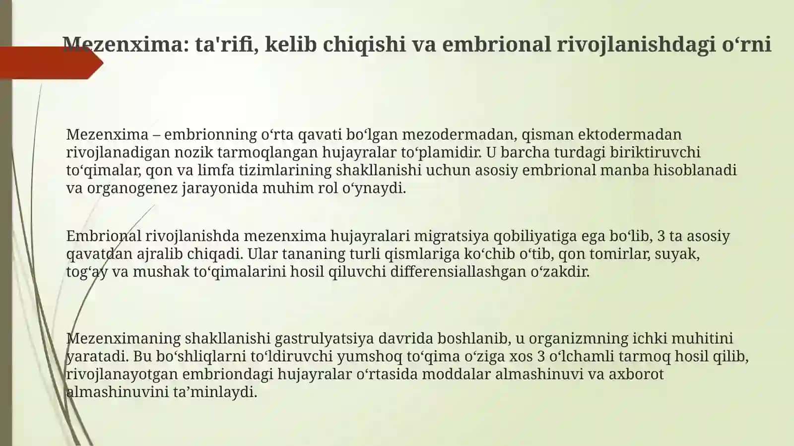 Mezenxima: ta'rifi, kelib chiqishi va embrional rivojlanishdagi o‘rni 3