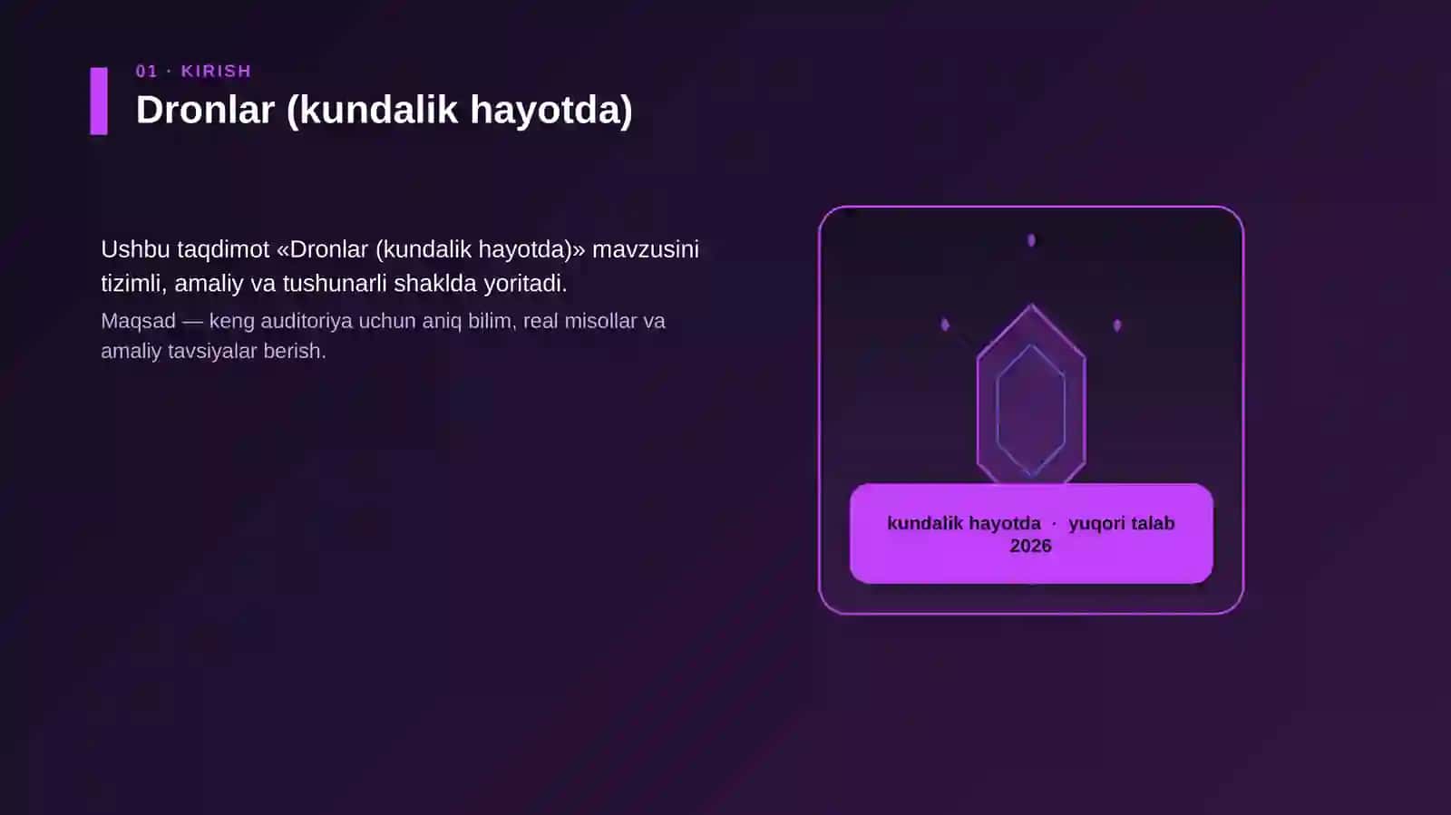 Dronlar (kundalik hayotda) 3