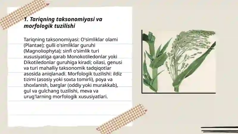 Tariq biologiyasi va yetishtirish texnologiyasi 3