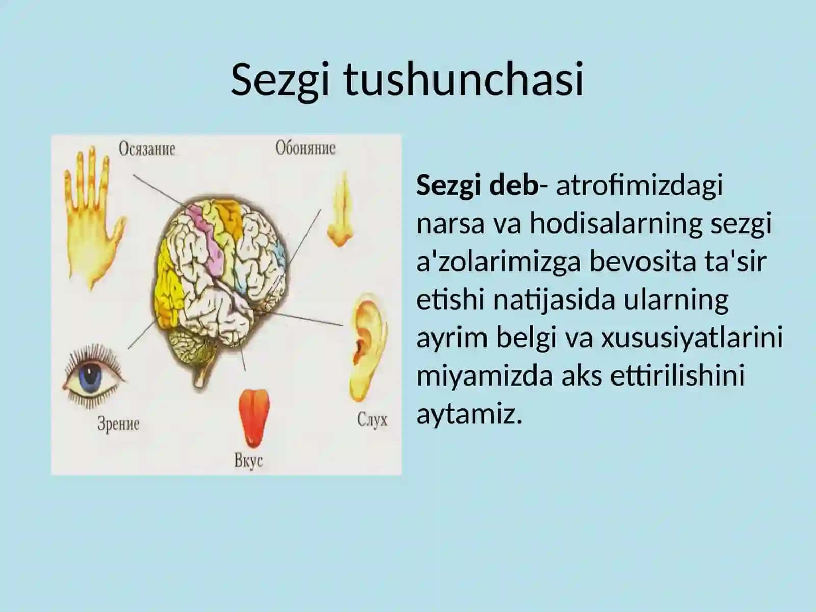 Sezgi 3