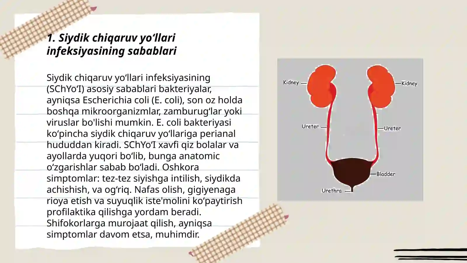 Siydik chiqaruv yoʻllari infeksiyasi 3