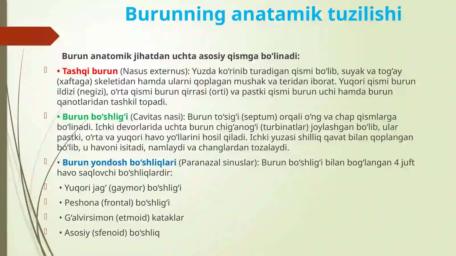 Burunningtuzilishivarivojlanishnuqsonlari 3