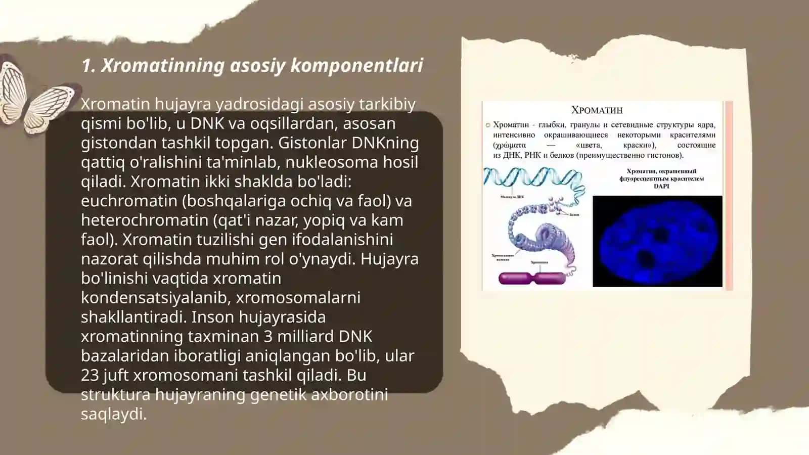 Xromatin molekulyar tarkibi 3