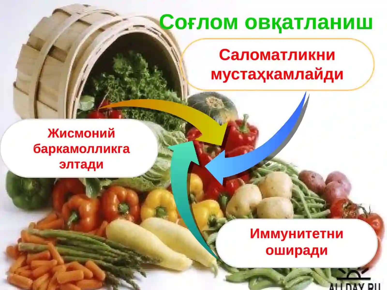 Соғлом овқатланиш 3