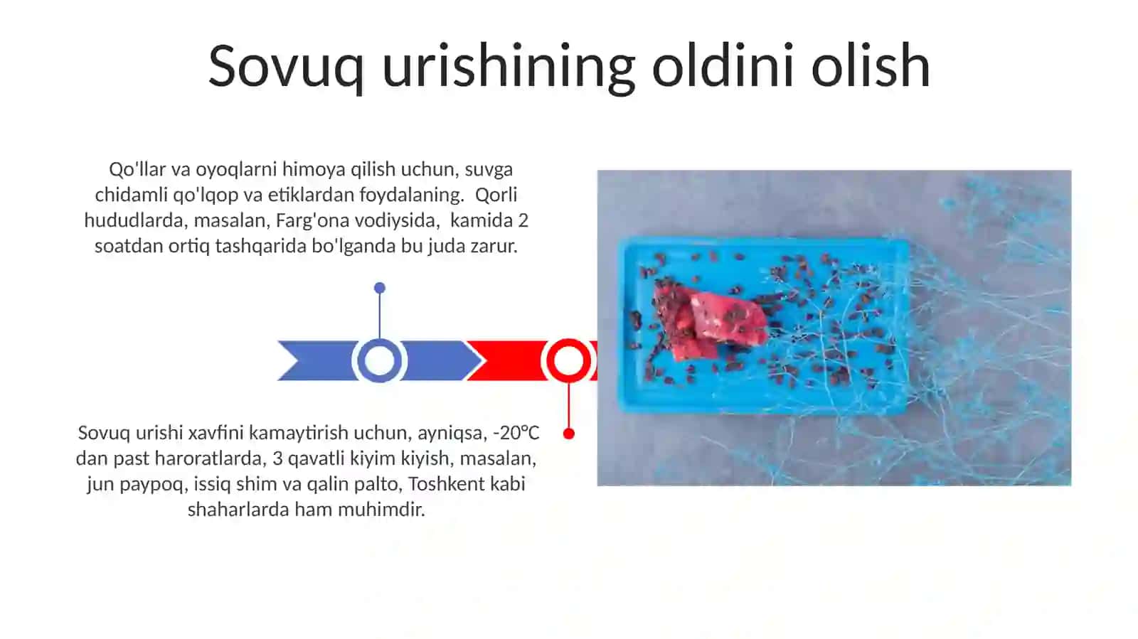 Sovuq urishi va elektr tokidan shikaslanish 3