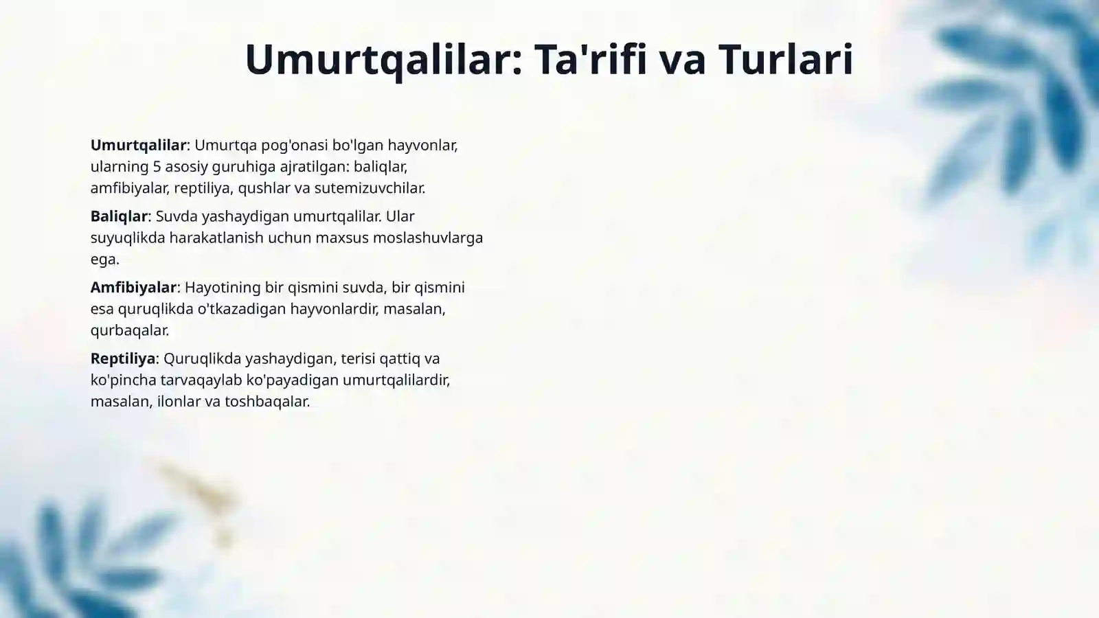 Umurtqalilar kenja tipi(Vertebrata) 3