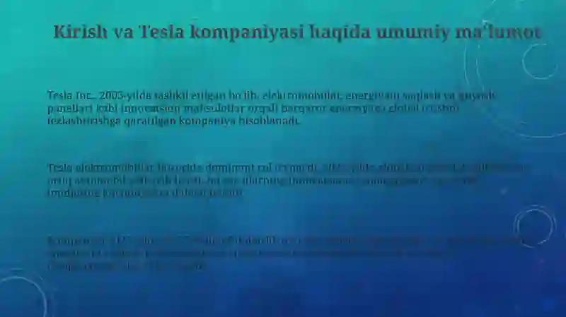 Tesla Inc. 3