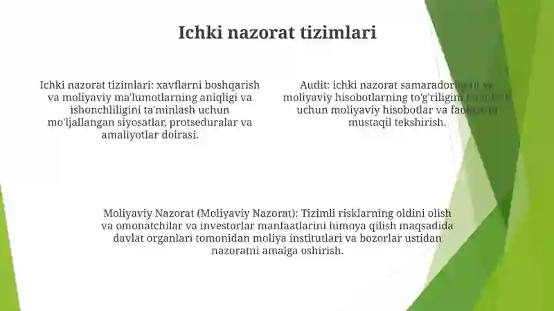 Audit Va Moliyaviy Nazorat 3