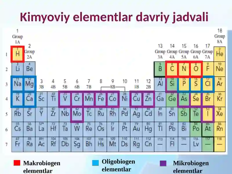 BIOGEN ELEMENTLAR VA ULARNI AHAMIYATI 3