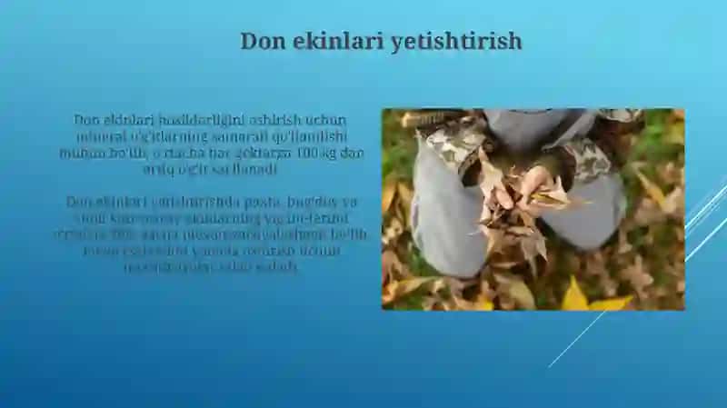 Oʻzbekiston Qishloq Xujaligi: Umumiy Nuqtai 3