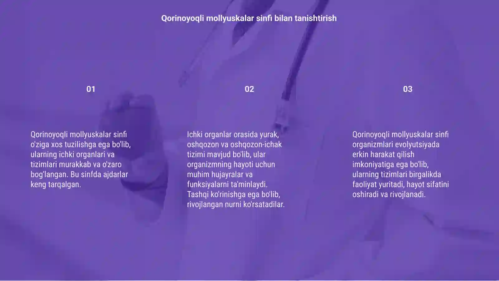 Qorinoyoqli mollyuskalar sinfi 3