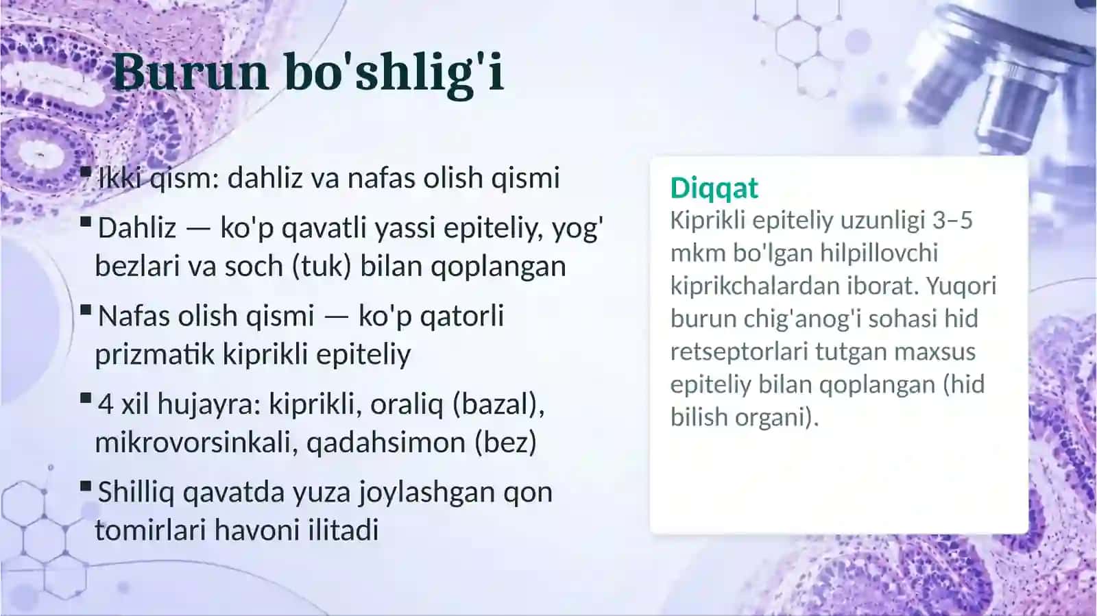 Nafas olish sistemasi 3