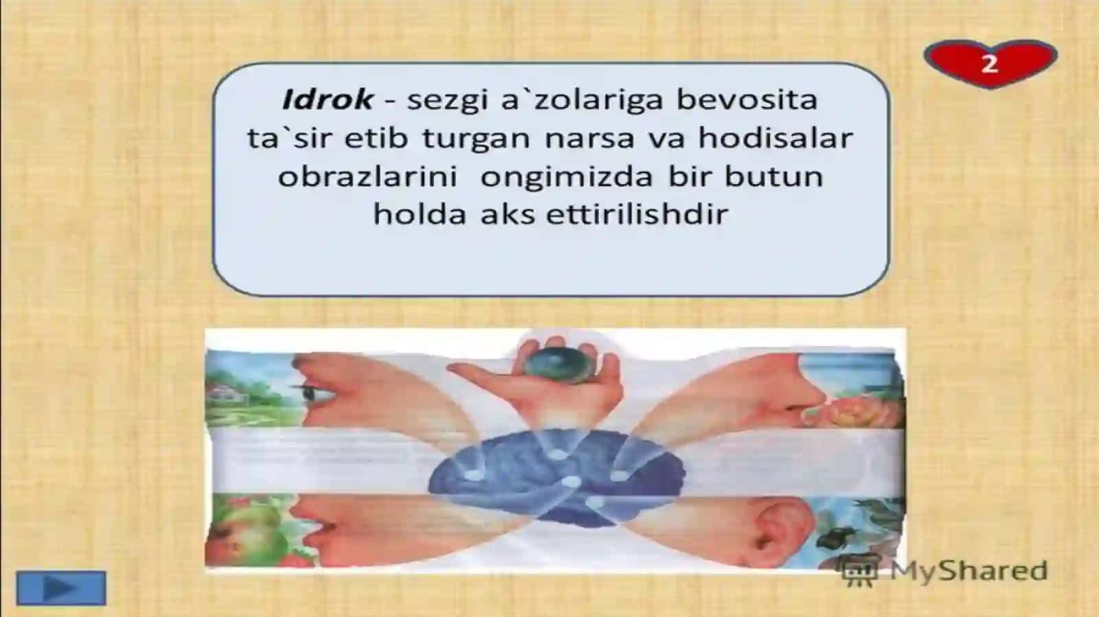 idrok 3