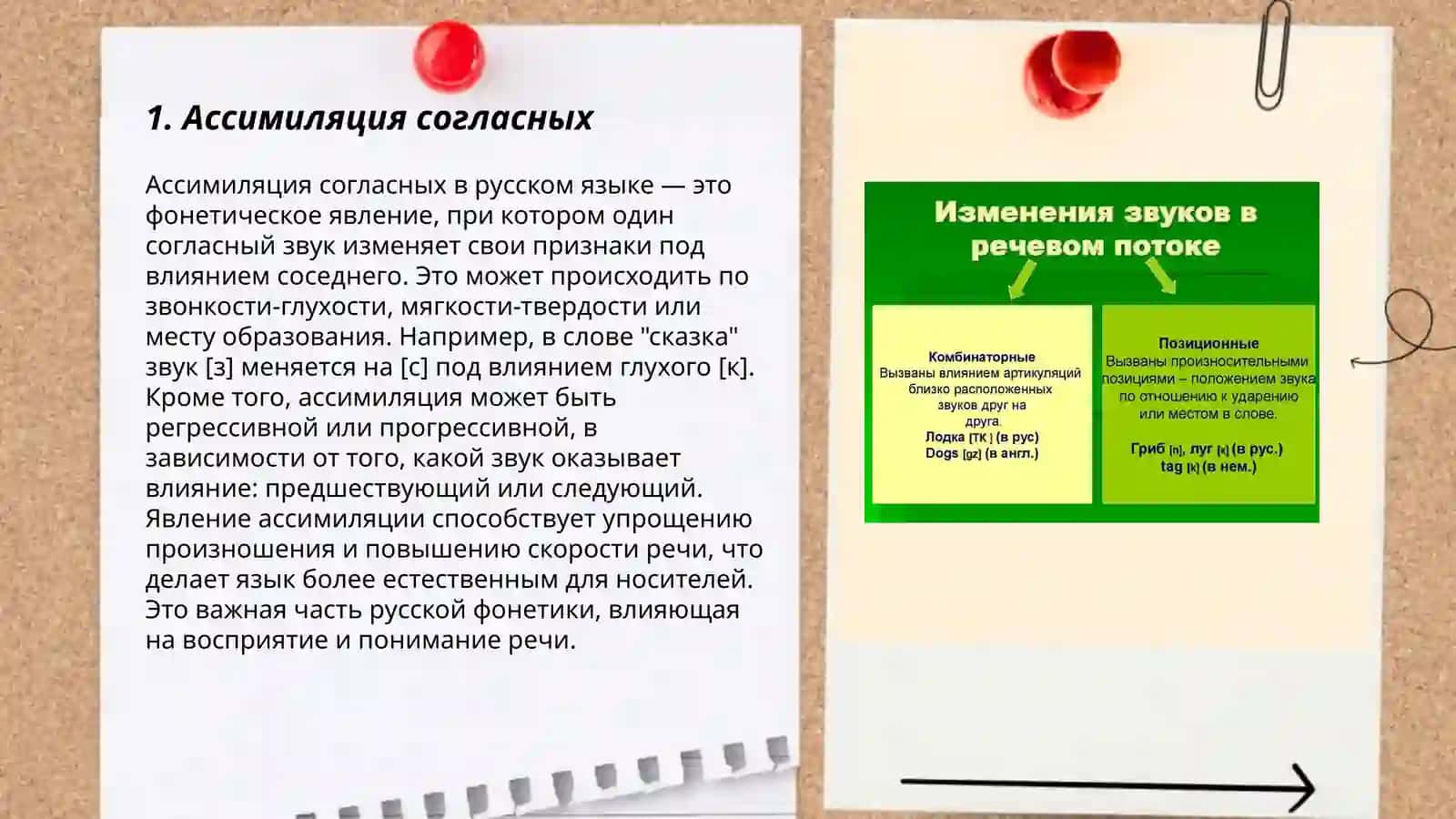 Фонетические изменения согласных звуков в речи 3