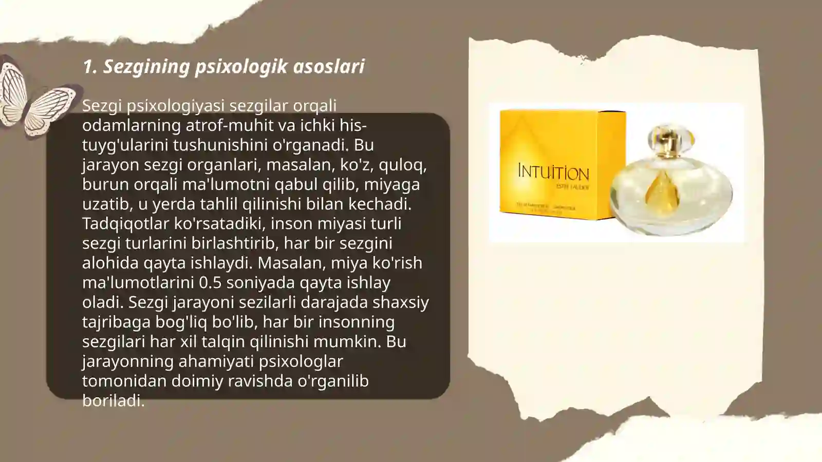 Sezgi 3