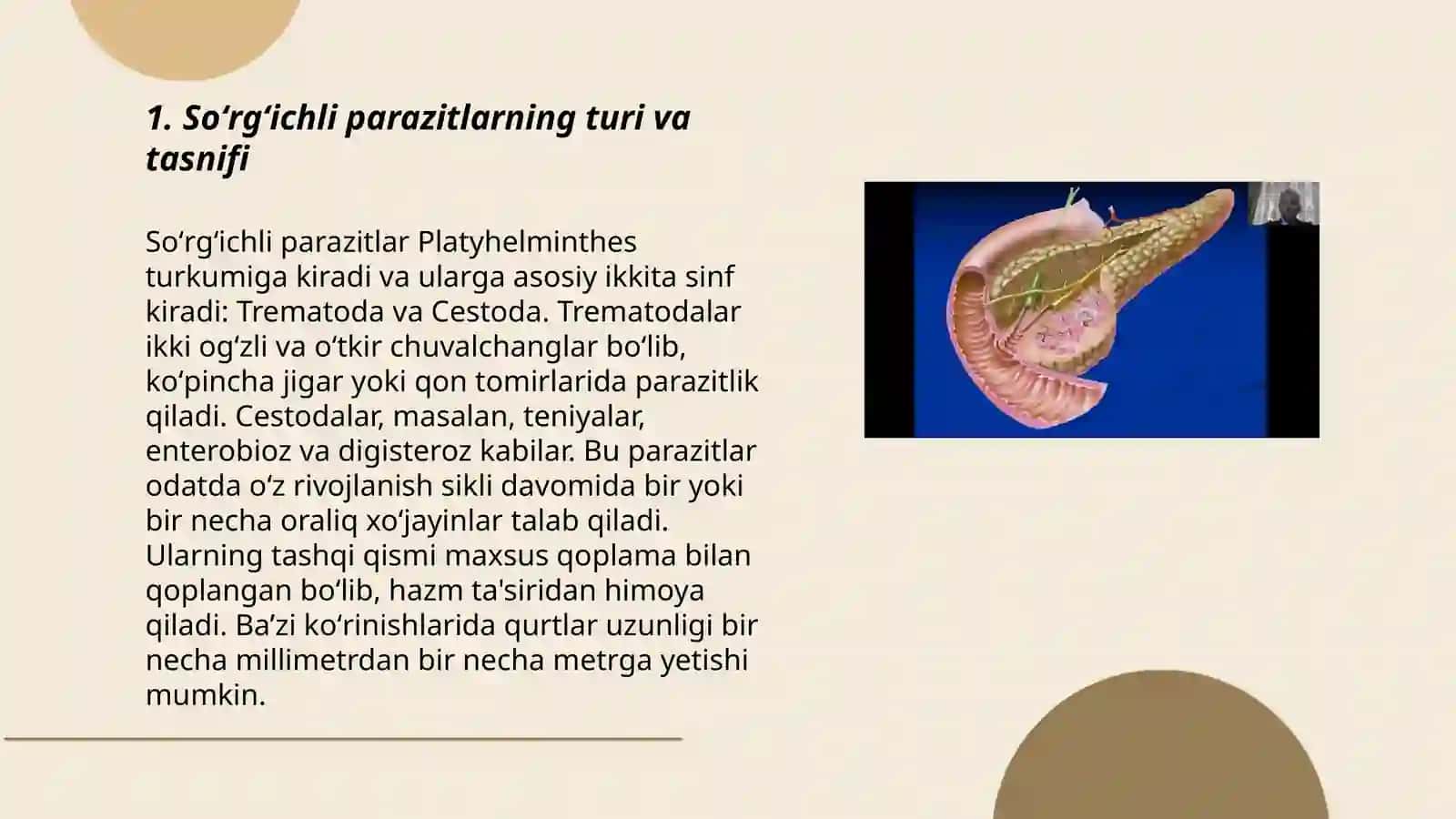 Soʻrgʻichlilar - odam parazitlari. Jigar qurti,leyshmaniya. Ichak parazitlari: ichburugʻ amyobasi, ichak balantidiyasi 3