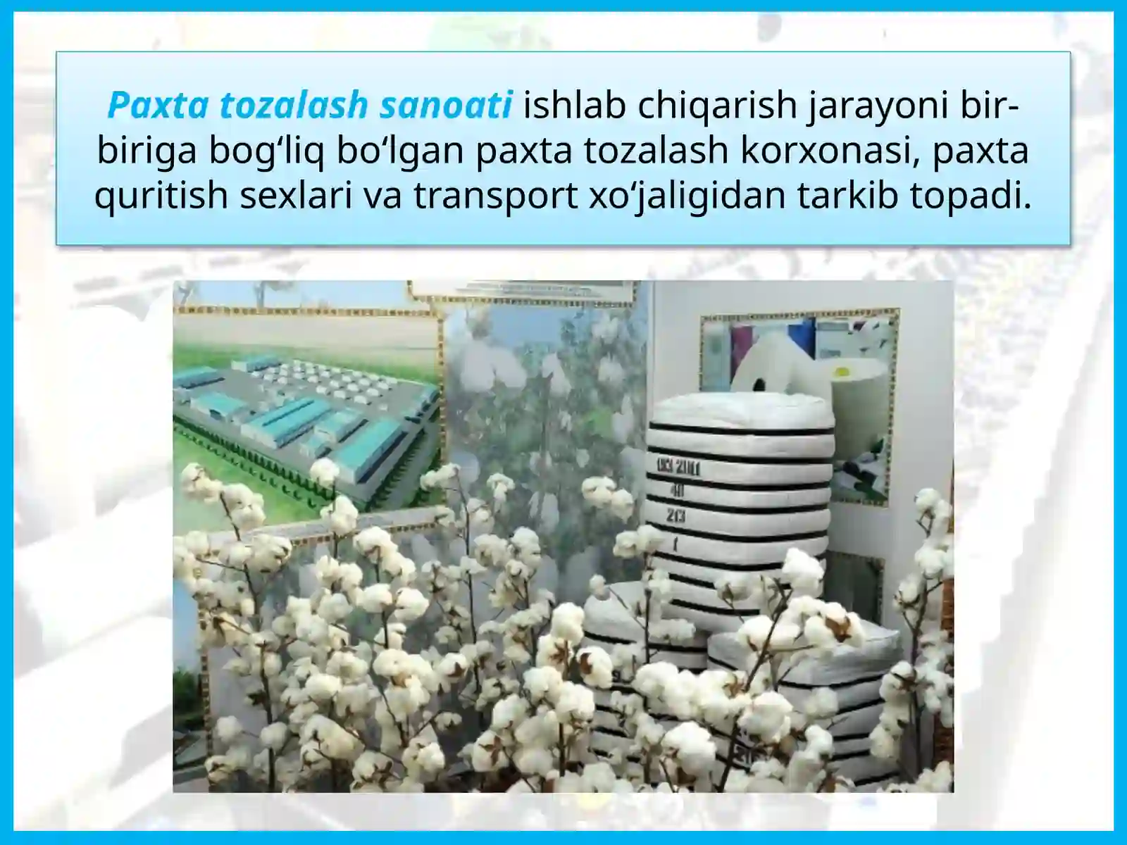 O’zbekiston yengil sanoati 3