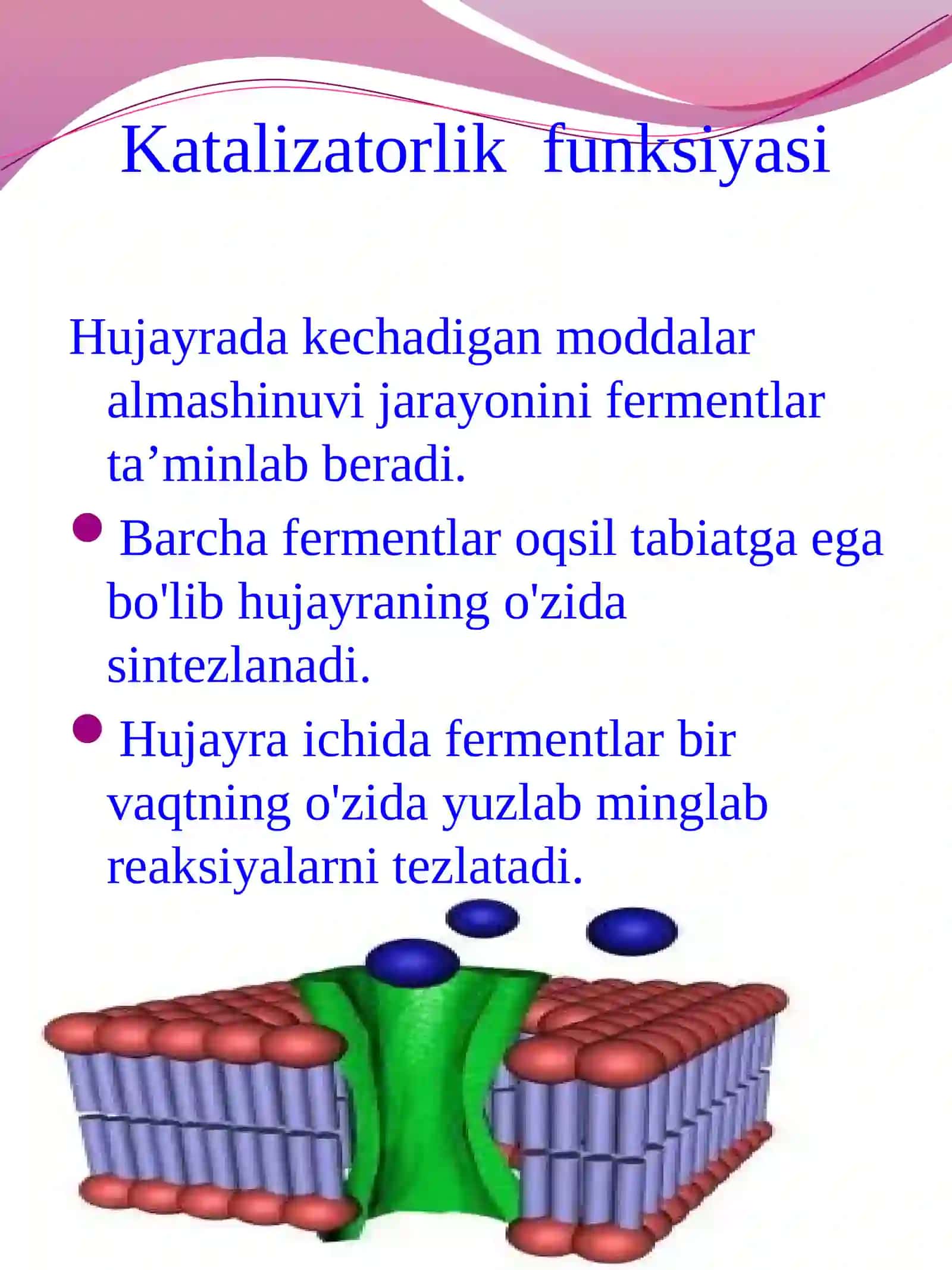 Abduraimova Shahzodaning Biokimyofanidan Mustaqilishi 3