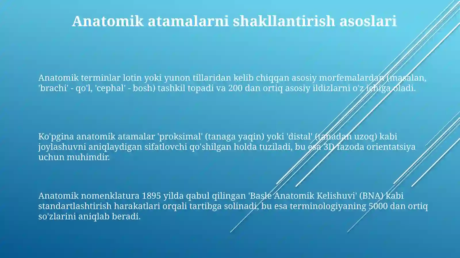Anatomik terminlar tuzish 3